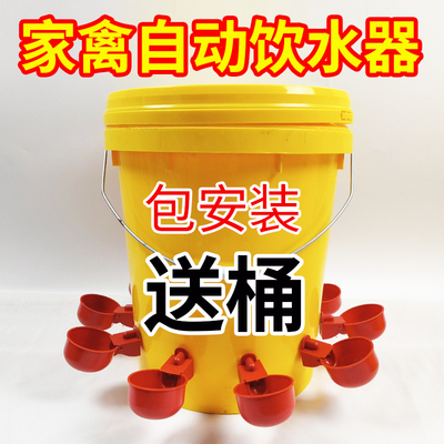 小鸡喝水饮水器鸡用自动饮水器