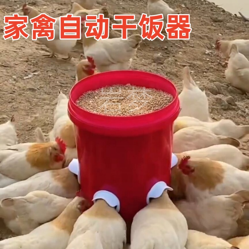 家禽自动喂食器鸡鸭鹅喝水饮水器