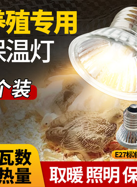 小鸡育雏保温灯养殖场专用加热灯