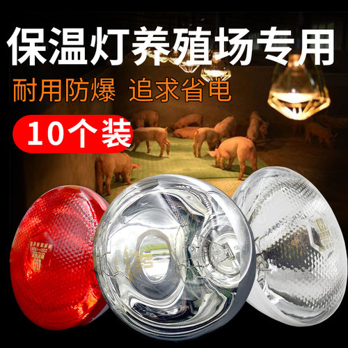 【厂家直销】养殖场专用保温灯