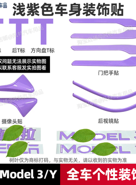 适用特斯拉modely浅紫色车标贴model3全车贴改色门把手贴前后标贴
