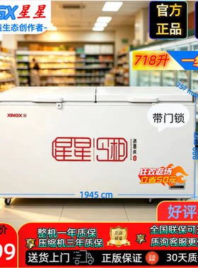 星星718L对开门冷冻柜1级能效