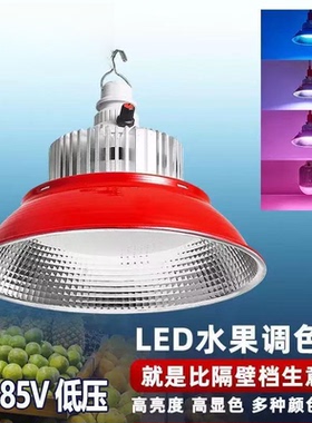 低压生鲜水果灯led照明灯电瓶车摆地摊夜市12V24V36V直流调光