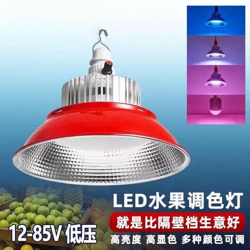 低压生鲜水果灯led照明灯电瓶车摆地摊夜市12V24V36V直流调光