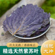泡澡泡水 粉泡脚儿童 中药紫苏叶干 天然食用紫苏叶250g紫苏叶茶