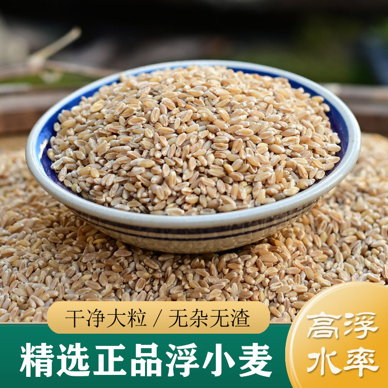 正宗浮小麦中药材 精选特级河南浮小麦250g 非野生淮小麦