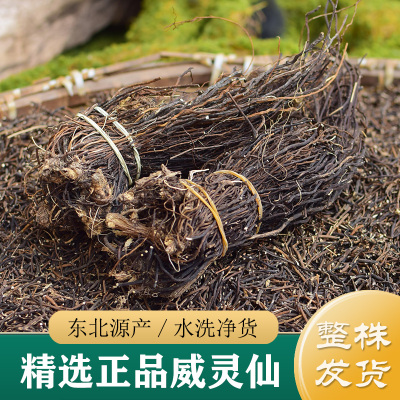 威灵仙中药材正品 精选东北威灵仙500g 非野生威灵仙根打粉中草药