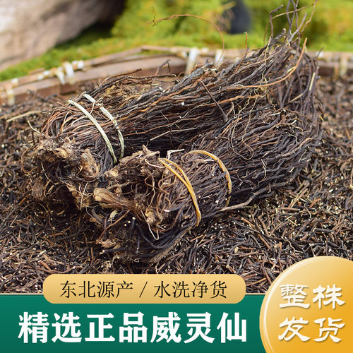 威灵仙中药材正品 精选东北威灵仙500g 非野生威灵仙根打粉中草药