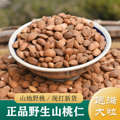 桃仁中药材正品 野生山桃仁500g 生桃仁/燀桃仁 桃仁粉 去皮桃仁
