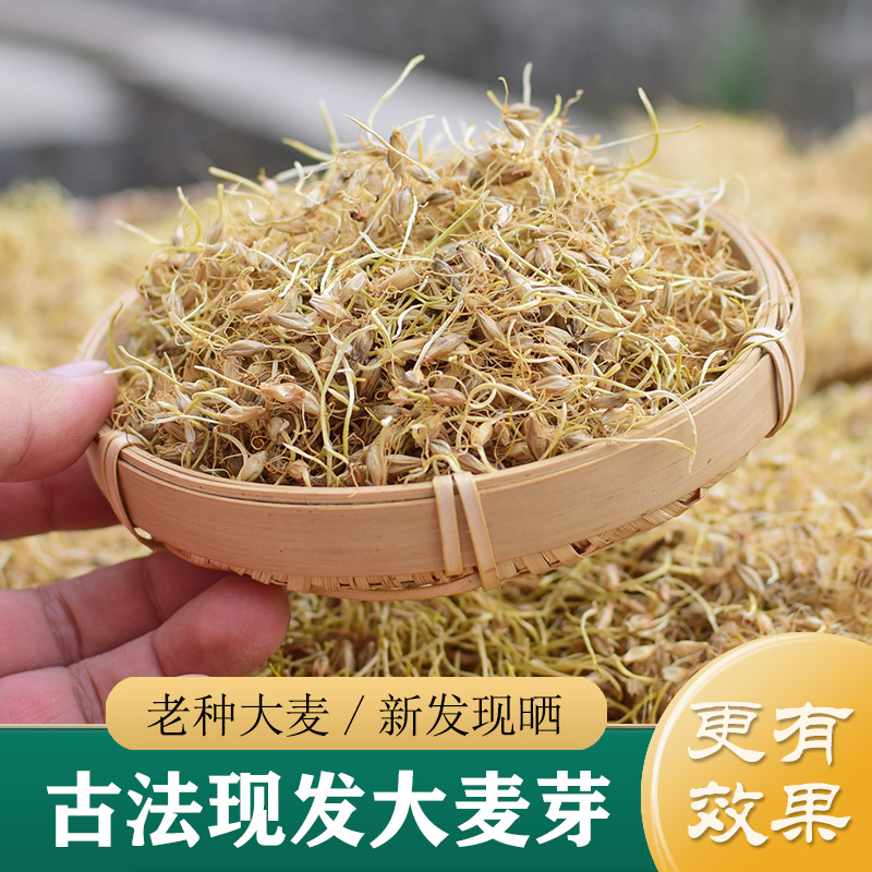 大麦芽中药材正品 古法现发天然生麦芽500g 炒熟大麦芽 回奶