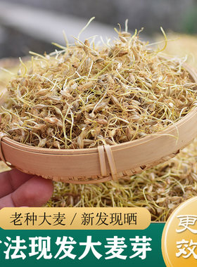 大麦芽中药材正品 古法现发天然生麦芽500g 炒熟大麦芽 回奶