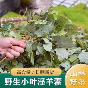 甘肃淫羊藿中药材泡酒粉 淫羊藿叶 野生小叶淫羊藿50g 整株淫羊藿