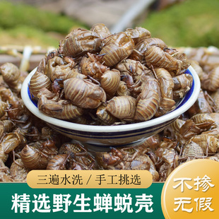 蝉蜕中药材正品 三遍水洗净货 精选野生大蝉蜕壳50g 蝉蜕粉蝉蜕皮
