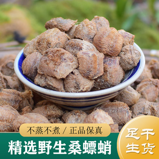 桑螵蛸中药材正品 野生桑螵蛸100g 生桑螵蛸 大刀蛸螳螂卵熟粉