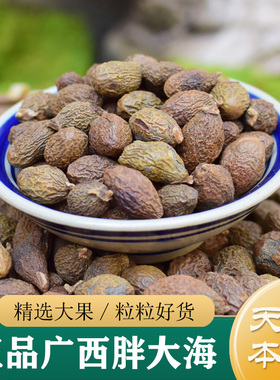胖大海中药材正品 精选广西无硫胖大海100g非野生特级胖大海干果