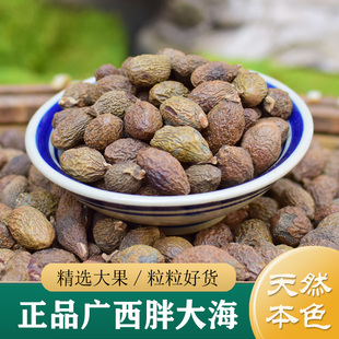 胖大海中药材正品 精选广西无硫胖大海100g非野生特级胖大海干果