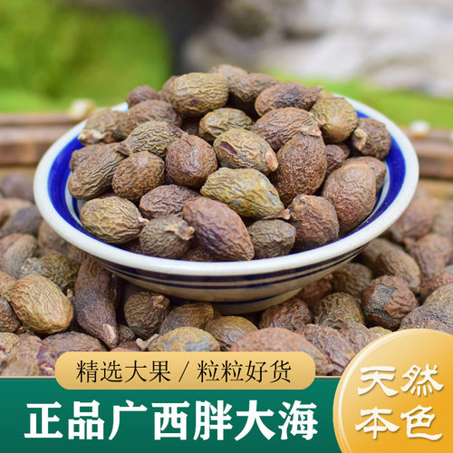 胖大海中药材正品 精选广西无硫胖大海100g非野生特级胖大海干果