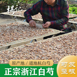 生白芍片 磐安浙白芍500g 中药材白芍 野生东阳杭白芍 炒白芍