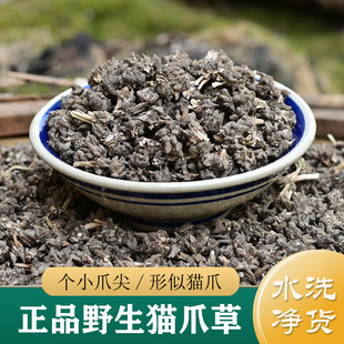 猫爪草中药材正品 纯野生河南猫爪草500g 中草药 蒲公英