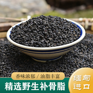 补骨脂中药材正品 精选进口野生补骨脂500g 炒盐补骨脂