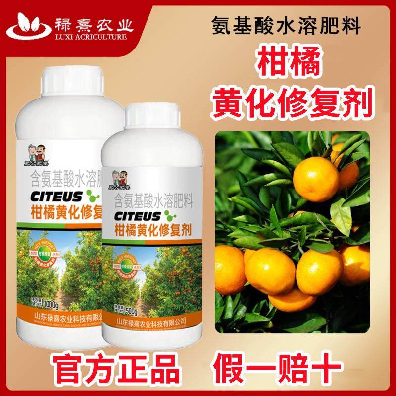 肥公肥婆柑橘黄化修复剂黄龙病果树专用药修复黄叶转绿促光合肥料