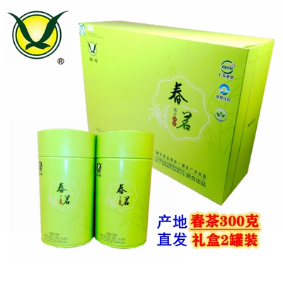 雄鸥蒸青春茗春茶300克