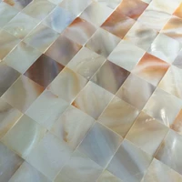 2.0 Абрикосовый цвет тантра (модель заднего клея)