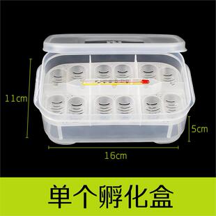 爬宠孵化盒孵化器蛋托守宫鬃狮蜥玩具蛇孵蛋器乌龟蛋孵化器