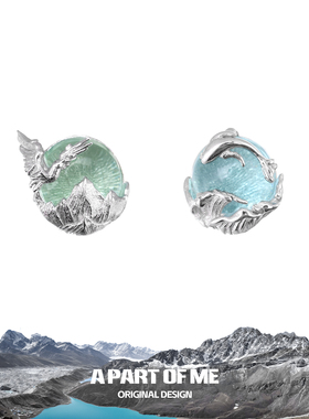 奔赴山海 925纯银耳钉原创小众设计飞鸟与鱼情侣男女耳饰养耳洞