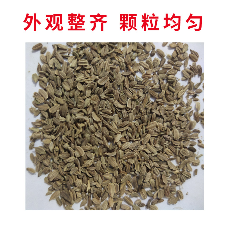 秋季里外青绊倒驴青萝卜种子水果沙窝青萝卜籽九甜青脆青萝卜