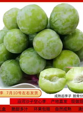 贵州沿河沙子空心李剔脱骨李当季应季青脆皮李子脆甜新鲜水果礼盒