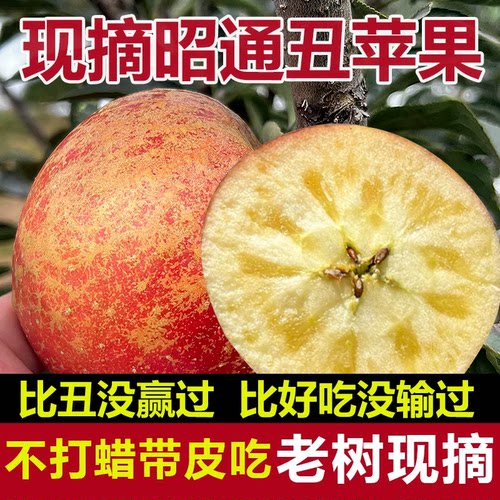 2025年正宗云南昭通丑苹果当季新鲜水果冰糖心脆甜红露富士整箱
