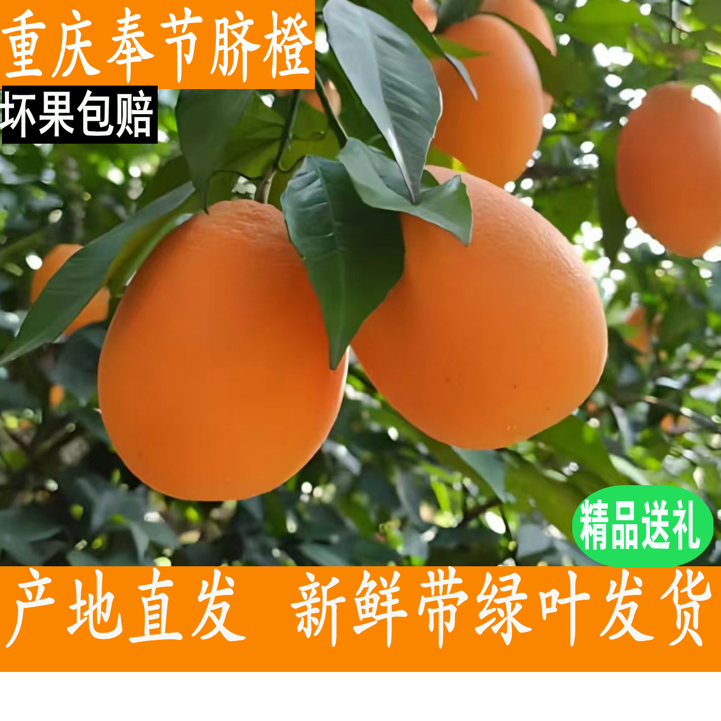 正宗重庆奉节脐橙纽荷尔新鲜橙子当季水果手剥橙超甜送礼整箱包邮