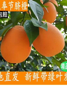 正宗重庆奉节脐橙纽荷尔夏橙伦晚当季水果手剥橙超甜送礼