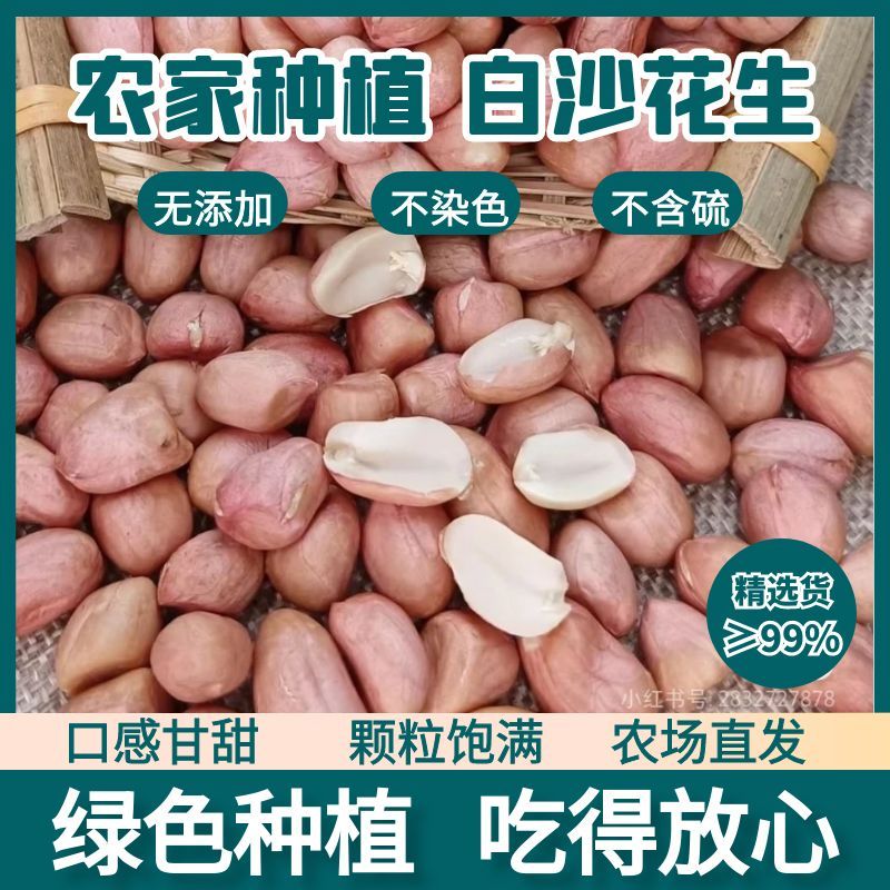 南阳白沙花生米无壳新鲜美味花生仁新货农家大粒饱满大白沙现剥