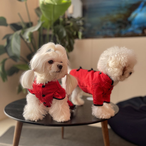 唐装情侣狗旗袍猫咪礼服猫狗