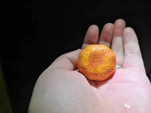 桔色染料效果根付染色鹿角染料鹿角根付染色古法染色夜叉五倍子