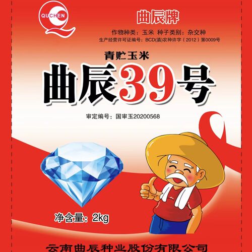 曲辰牌曲辰39号大穗大粒玉米品种