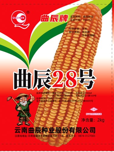 曲辰28号  云、贵、川、湖北中高海拔玉米品种  马齿红轴  2kg/袋 - 封面