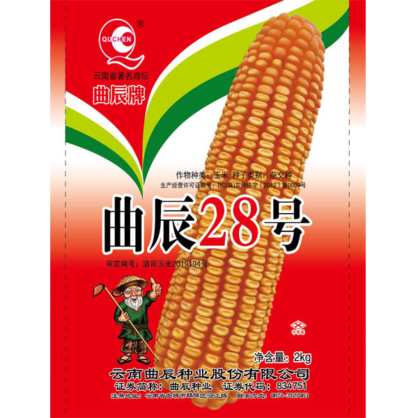 曲辰28号  高产玉米品种 穗大粒多品质好抗病抗倒伏抗穗腐2kg/袋