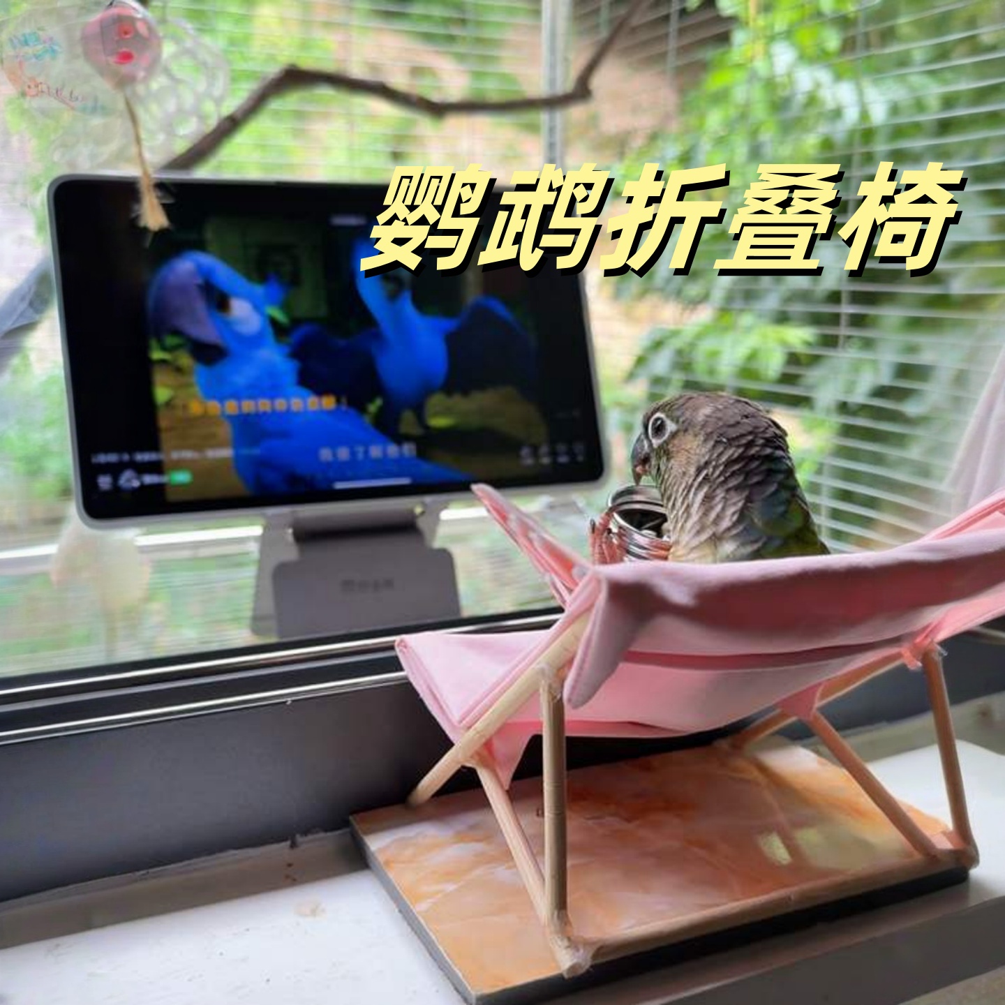 鹦鹉专用沙滩躺椅小太阳玄凤床小鸟自嗨解闷玩具拍照道具装饰摆件