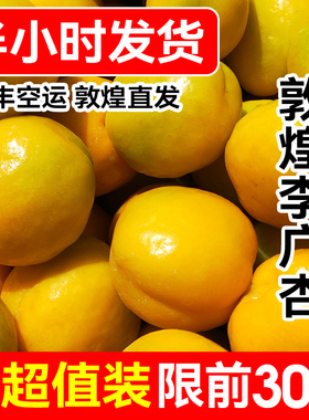 【顺丰包邮】正宗新鲜李广杏敦煌特产水果5斤甘肃现摘现发杏子