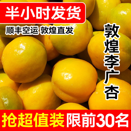 顺丰包邮产地直发敦煌李广杏