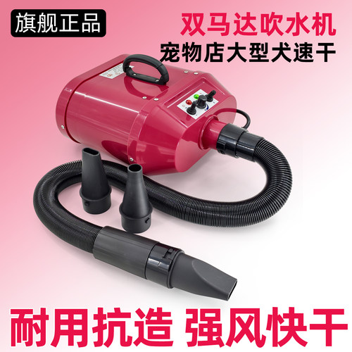 春舟大功率宠物店双马达吹水机