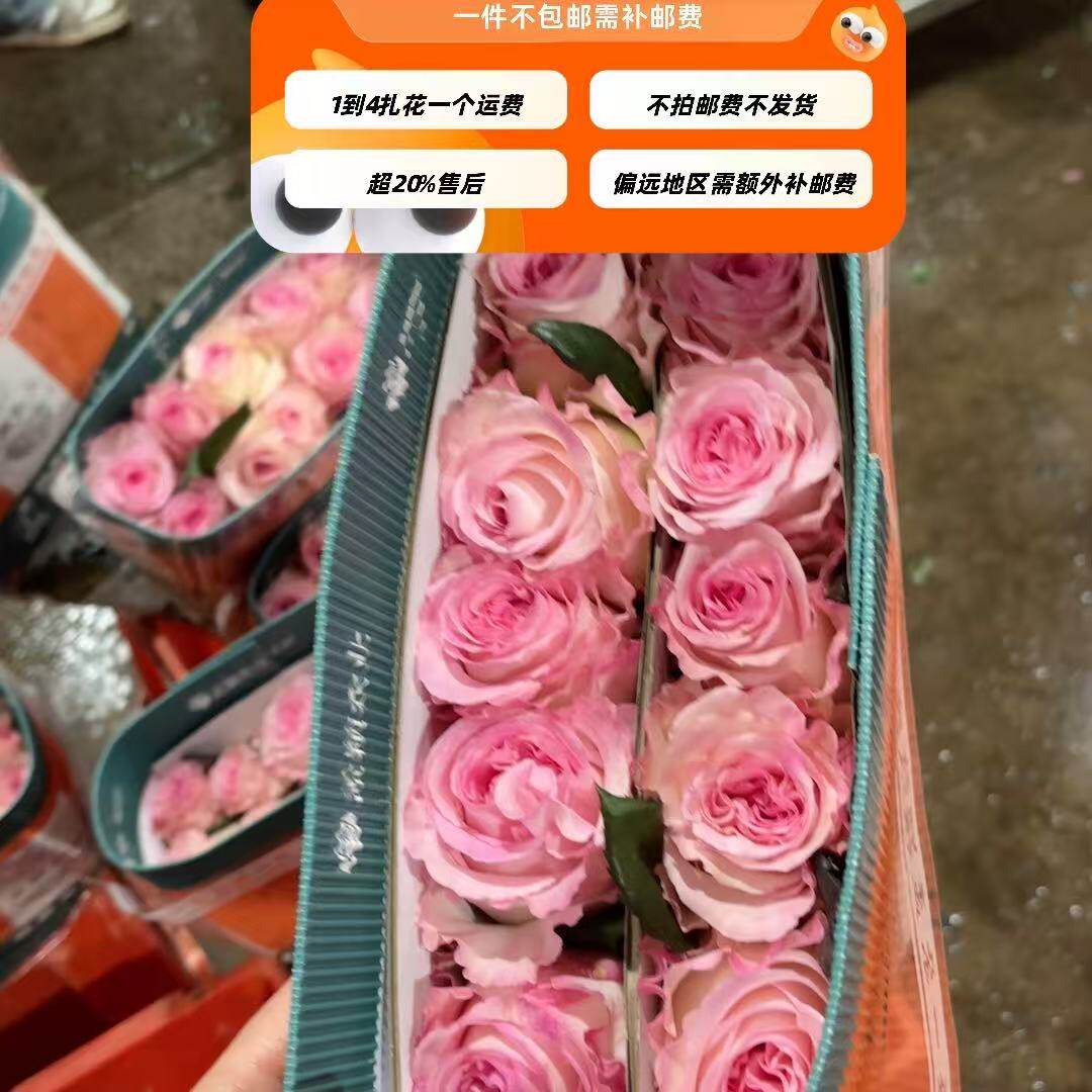 高品质必拍】A级孟颖基地洛神玫瑰10支 需要俩邮费