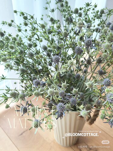 情人果一扎。【不包邮需要拍邮费