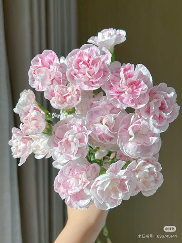 必拍）稀有的 多头康乃馨18-20支 酒酿樱桃 不包邮需要拍邮费