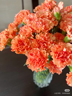 多头康乃馨18-20只。丰盛。需要拍邮费