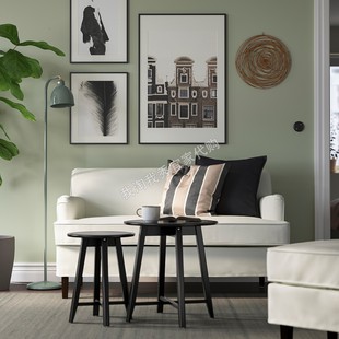 宜家国内代购 罗克雪恩 双人沙发 布勒丁 简约优雅可拆卸持久耐用