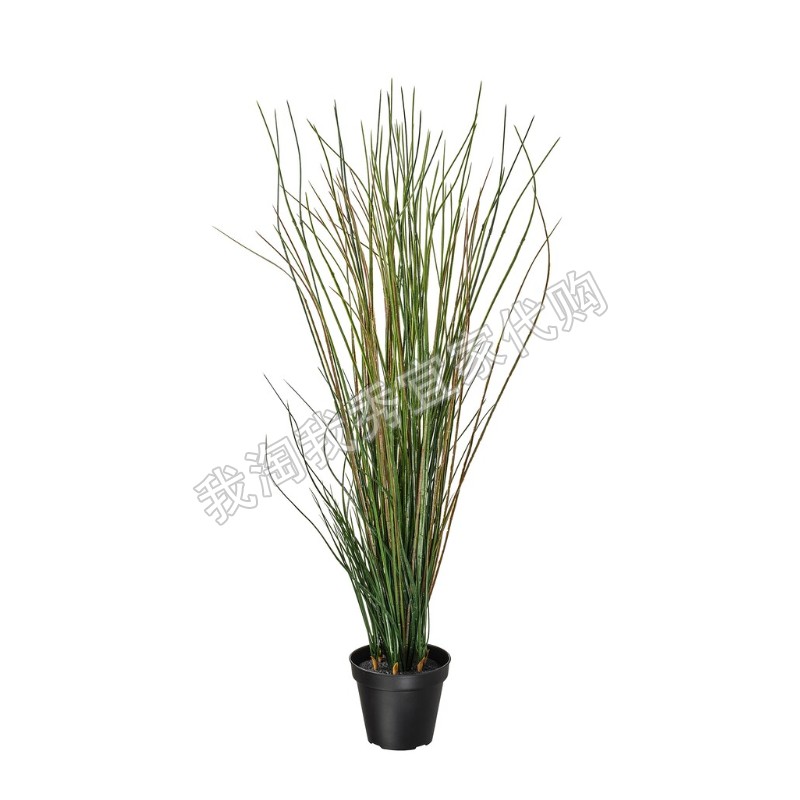宜家国内代购 菲卡 人造盆栽植物 草17厘米仿真花草绿植(现货)
